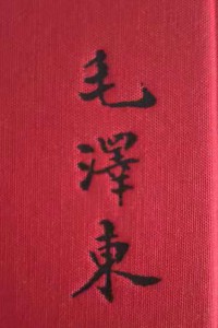 毛泽东十九岁时的签名